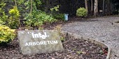 Intel Arboretum